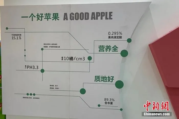 李保国先进事迹展览馆展示好苹果标准。 中新网记者 程春雨 摄