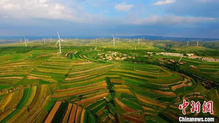 图为在甘肃定西市，远处的风力发电机组和近处的梯田自成一景。(资料图) 王金生 摄