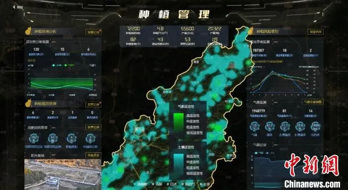 浙中药应用场景驾驶舱。　王盼 摄