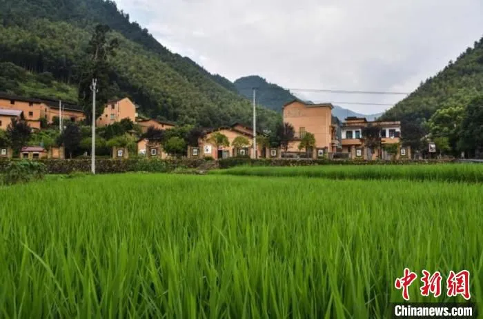 浙江丽水乡村(资料图) 范宇斌 摄