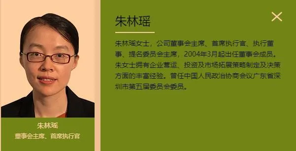 截图自华宝国际控股有限公司官网。