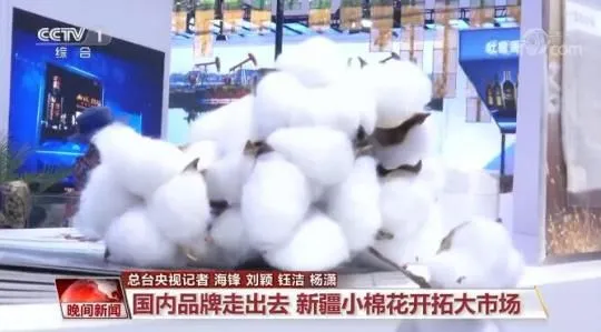 相约消博会 | 抢抓自贸港机遇 消博会签约不断