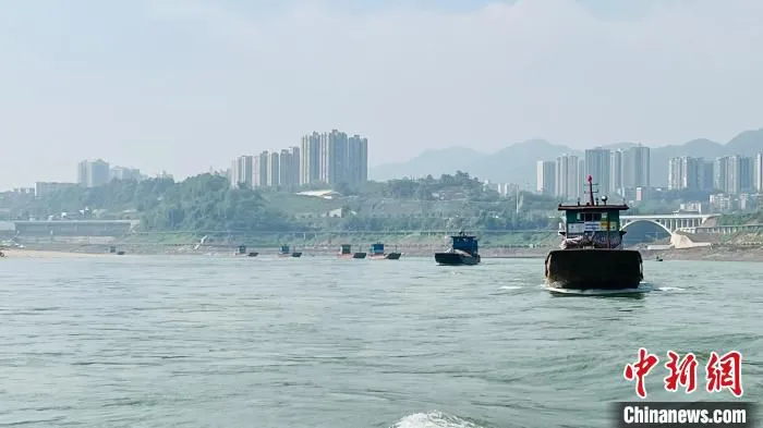 图为船队驶过嘉陵江。　重庆市交通运输综合行政执法总队港航海事支队供图