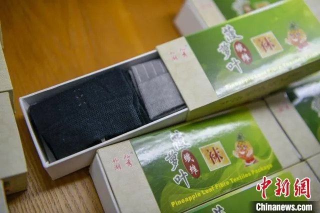 菠萝叶纤维制成的袜子 骆云飞 摄