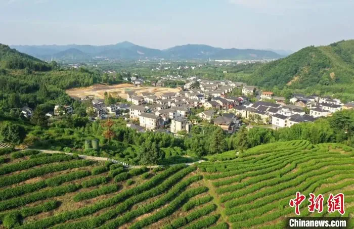 余杭径山村 王刚 摄