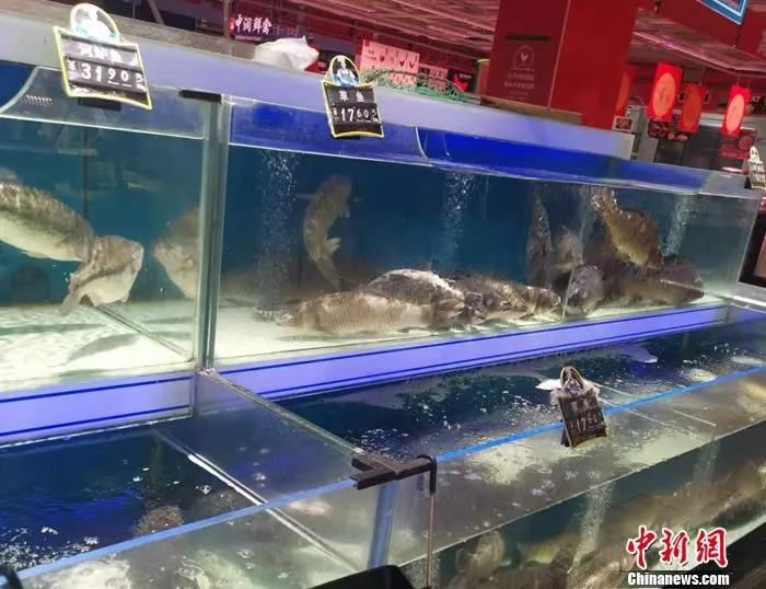 北京市丰台区一家超市水产区。 中新网记者 谢艺观 摄