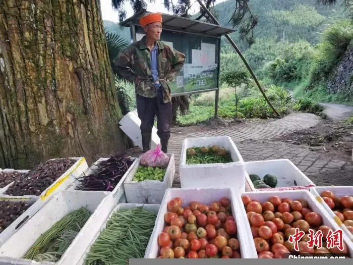 村民在收购点等着过秤。　胡亦心 摄 摄