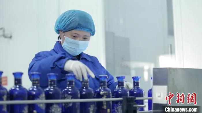 石家庄市赵龙食品有限责任公司雪梨酒罐装生产线。　朱涛 摄