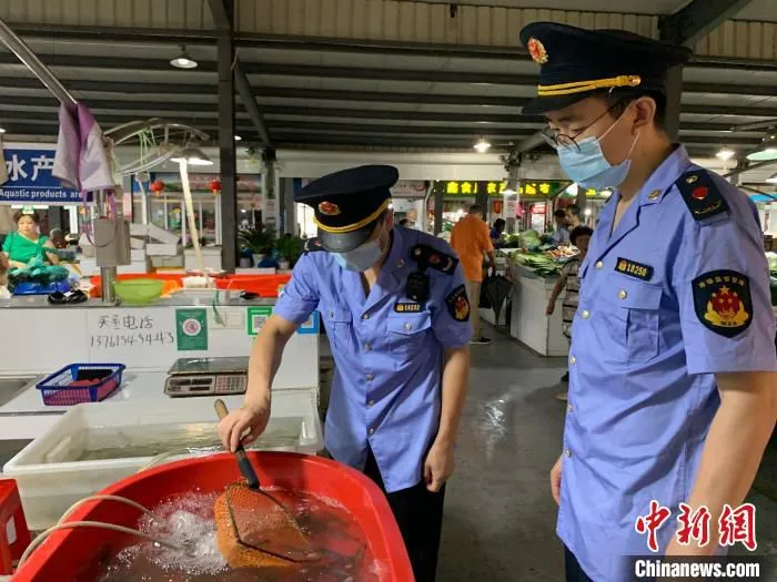 沪市场监管部门以水产品交易市场、商超、餐饮服务单位为重点，组织开展专项执法检查。　上海市场监管局 摄
