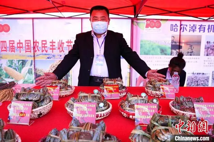 镇赉县嫩江大闸蟹。　潘晟昱 摄
