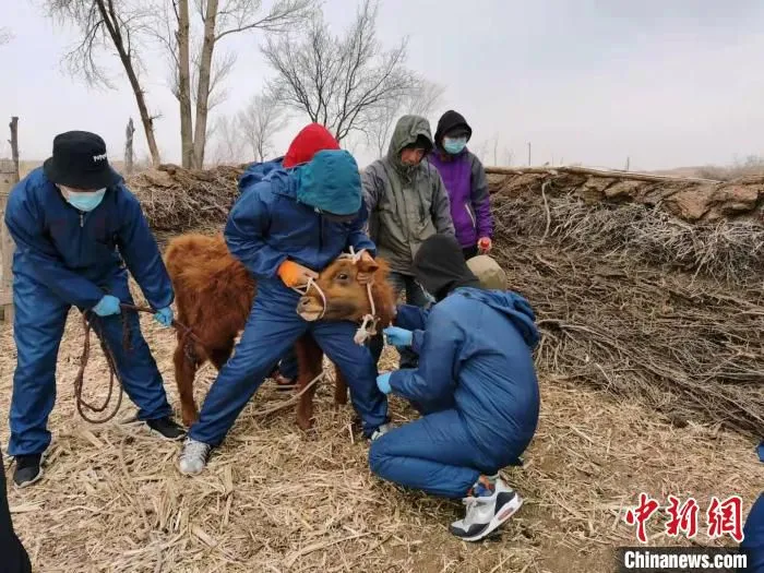 图为李光鹏团队正在基层和当地民众一起开展科研活动。　受访者供图。