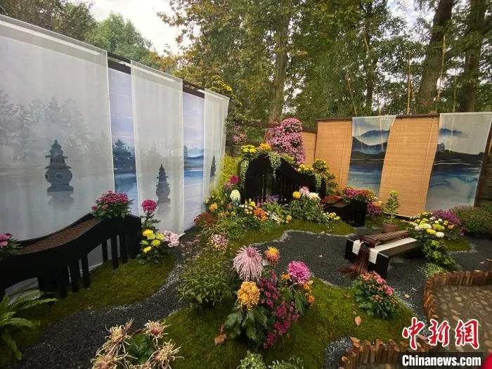 作品《水墨西湖》。　王题题 摄