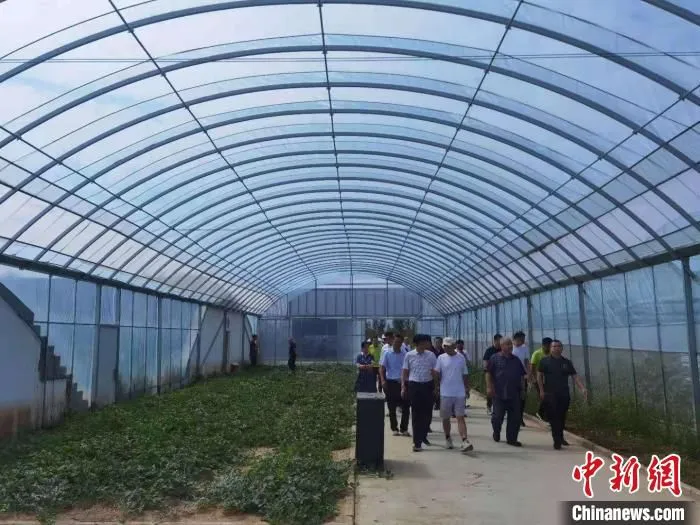 在大同市阳高县，台商恳亲团参观考察当地农旅融合示范园。　胡健 摄