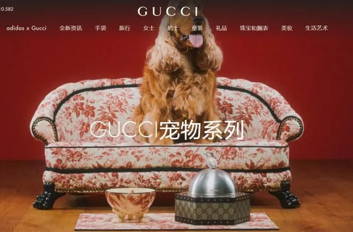 古驰官网展示的宠物用品：宠物床、宠物碗、