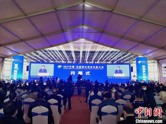 10月15日，2021中国·合肥苗木花卉交易大会在中国中部花木城——安徽省肥西县开幕。　张强 摄