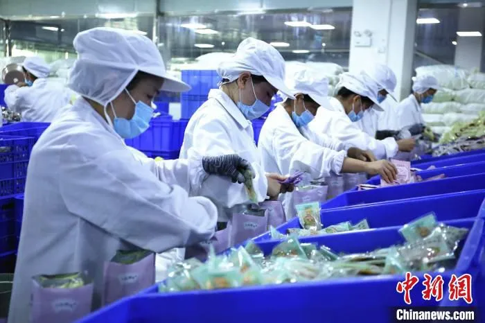 资料图：柳州螺蛳粉企业包装生产线。　朱柳融 摄