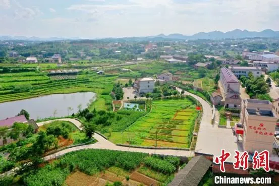 花溪村的美丽农村路。　刘建安 摄