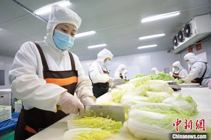 图为在合作社净菜加工车间，工作人员对蔬菜进行加工。　宋敏涛 摄