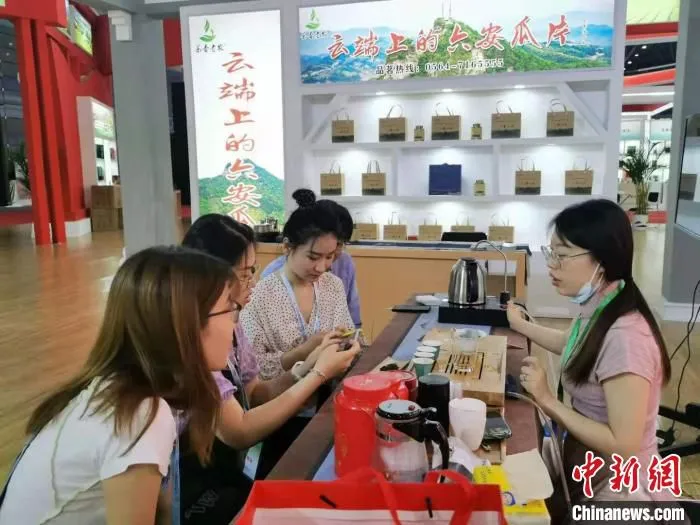 合肥市民在展会上品茶。　张强 摄