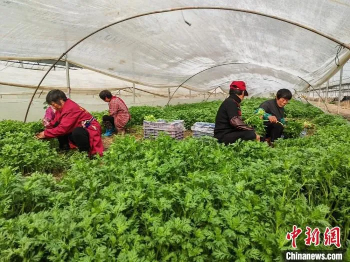 在园区里务工的工人都是附近的农民。　谷华 摄