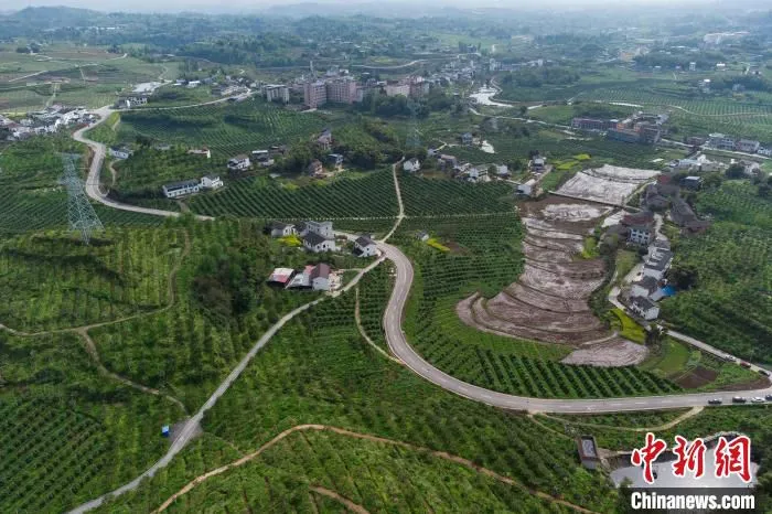 图为航拍“三峡橘乡”国家级田园综合体。　何蓬磊 摄