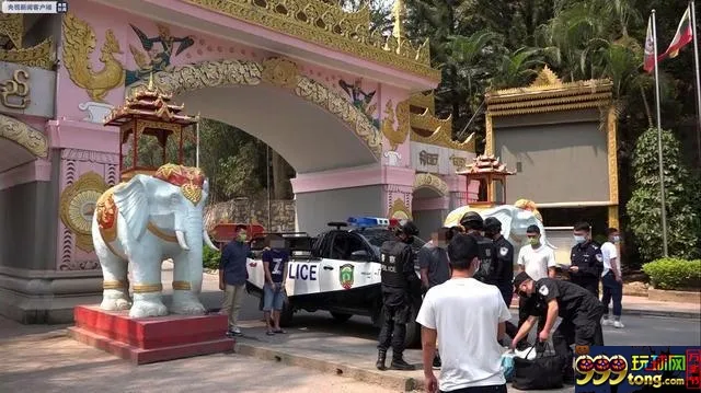 云南破获特大偷越国境案 56名偷渡人员落网
