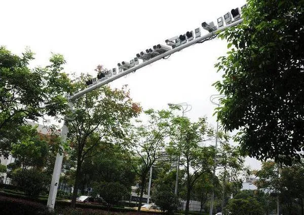 扑克新闻：天才、赌王、破产者，一个德州扑克高手的大败局｜真实故事