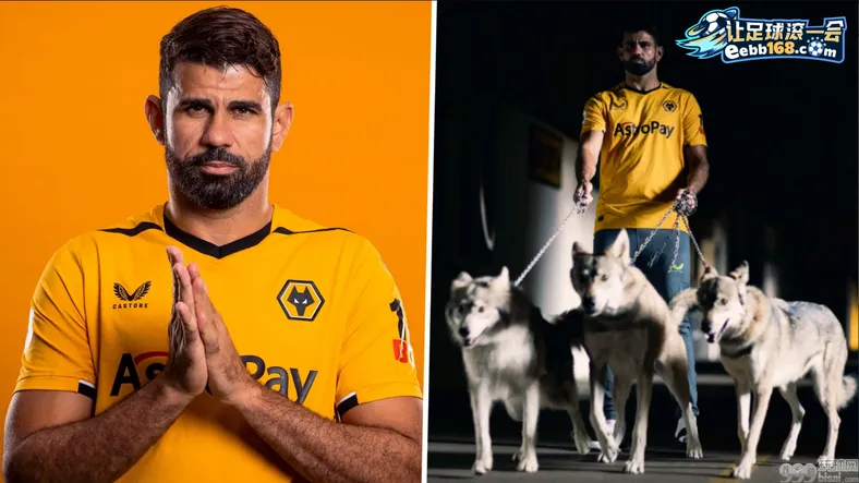 Wolves 足球赛事分析