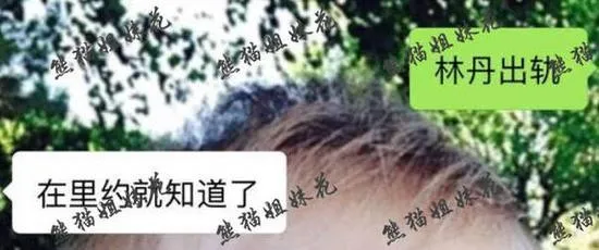 玩球头条：网曝林丹谢杏芳婚姻名存实亡 奥运时已知出轨