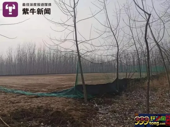 残忍！记者深入揭秘血腥“细狗猎兔”赌场