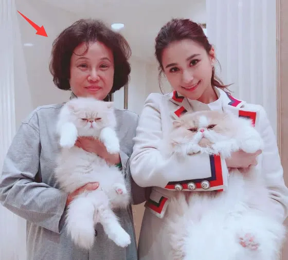赌王小姨子被曝插足当小三玩姐弟恋