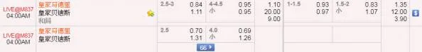 【申博138】西班牙甲级联赛：皇家马德里 VS 皇家贝迪斯 大球