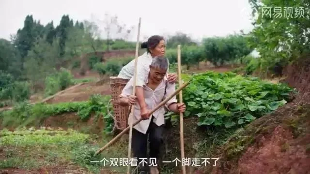 玩球资讯：有一张500万的彩票，都养不起家的80后爸爸