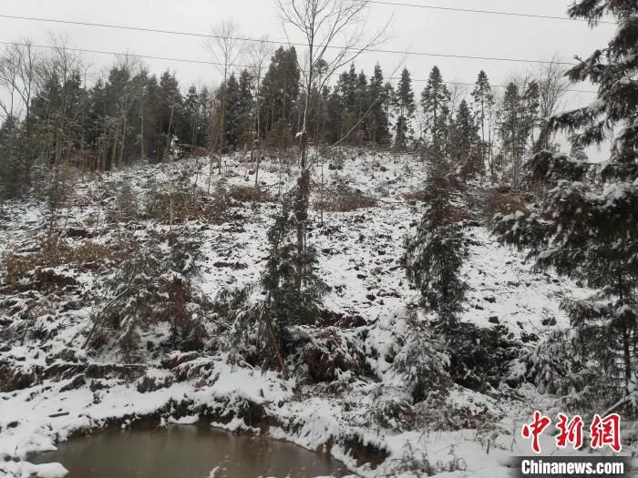 图为冰天雪地的重庆市石柱县冷水镇一角。　冉志刚 摄