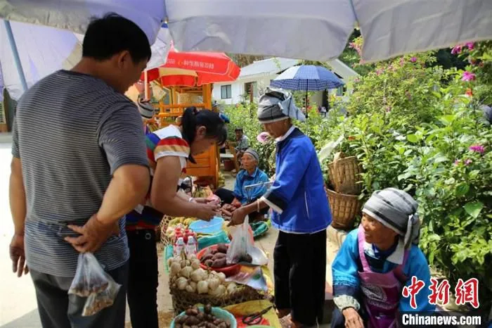 图为壮瑶群众通过销售农产品增加收入 熊桂余 摄 图为壮瑶群众通过销售农产品增加收入 熊桂余 摄