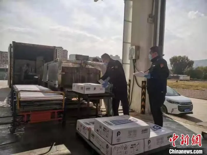 图为城北区市场监督管理局驻仓专班市场监管人员正在进行食品检查。　城北区委宣传部供图