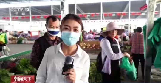 海南瓜菜上新 总台记者探访“南菜北运”全流程