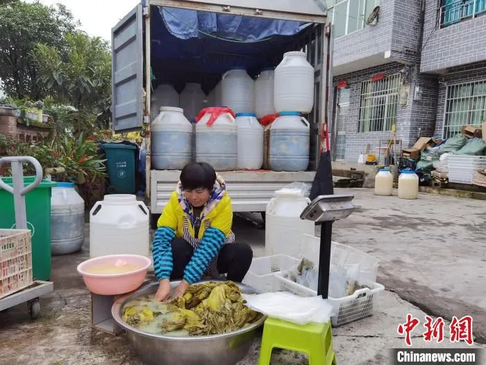 息烽县的农特产品酸菜。　周燕玲 摄