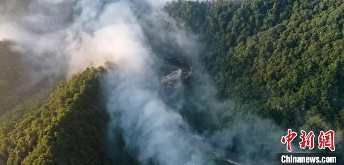 资料图：贵州梵净山森林。　伍卫东 摄