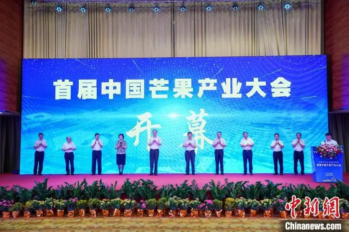 图为首届中国芒果产业大会开幕。　陈冠言 摄