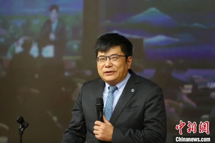 中国旅游研究院院长戴斌 卢旭 摄