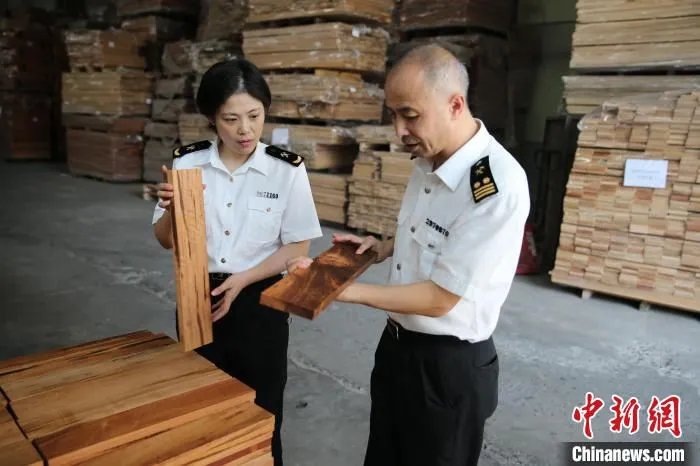 海关工作人员在企业指导 谢颖 摄