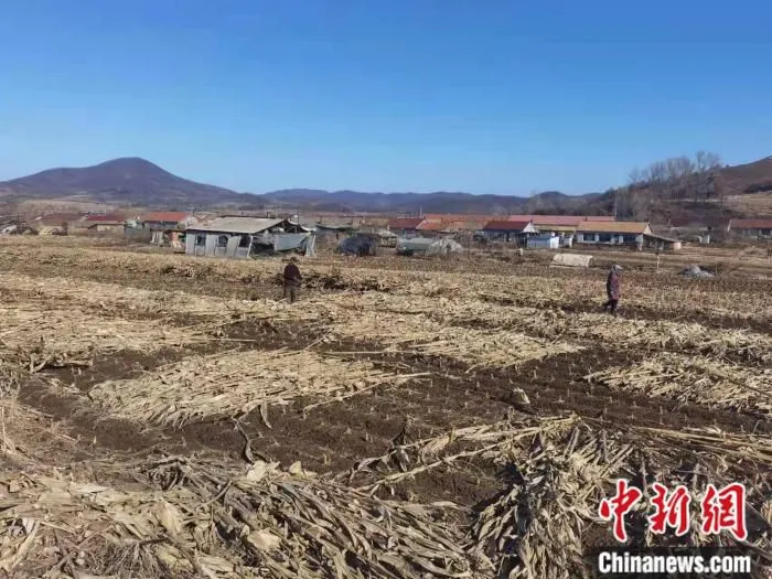 春耕前的兴隆川村。 受访者供图。