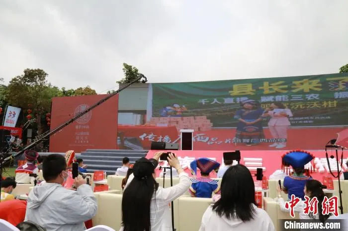 图为活动现场。　广西商务厅供图 摄