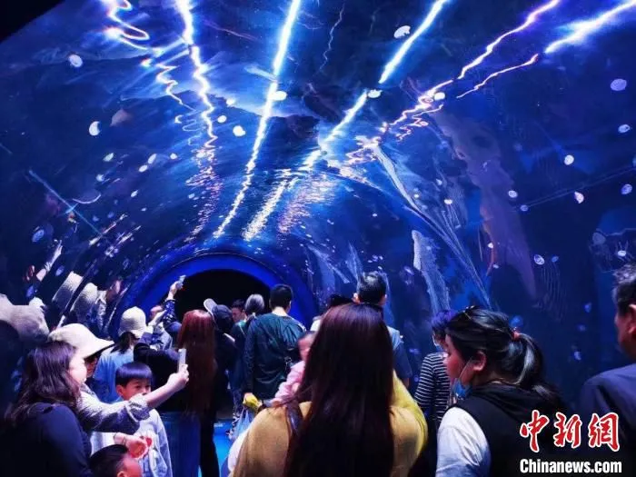 金牛湖野生动物王国“水母世界”。　六合区文旅局供图 摄