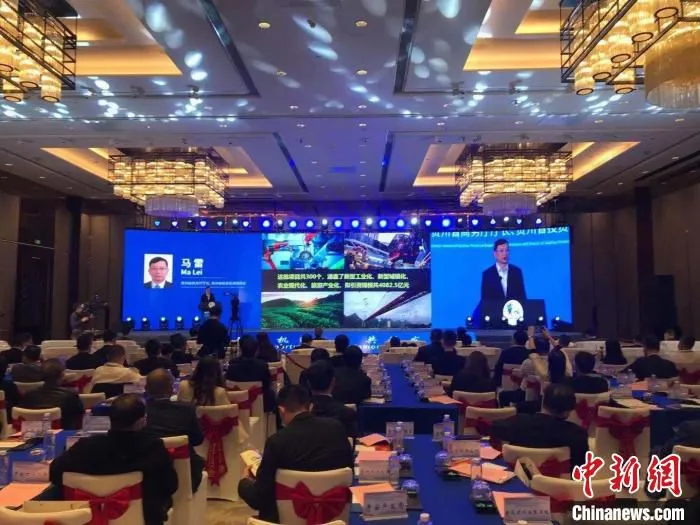图为贵州对外发布300个现代服务业招商推介项目现场。　张伟 摄