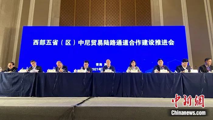 图为推进会现场。 中新社记者 孙睿 摄