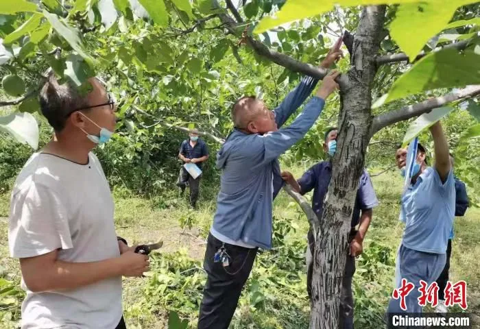 图为农业技术人员在田间地头对农民进行指导。　王晶 摄