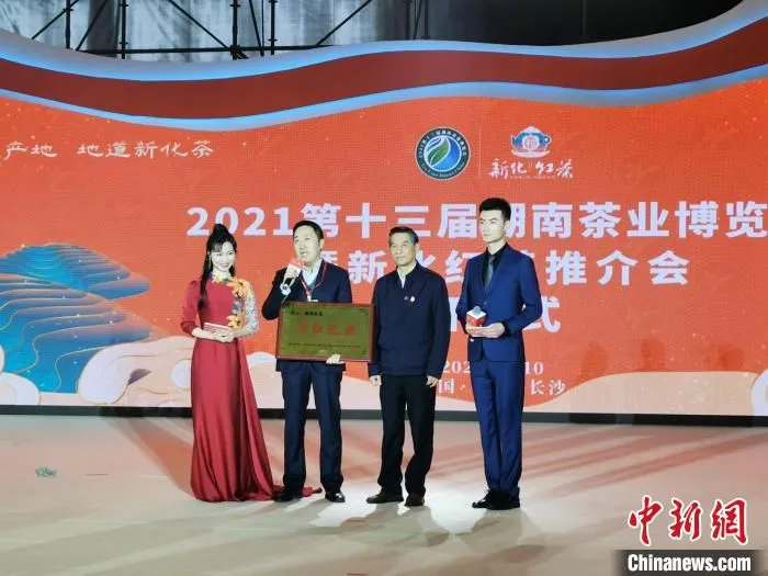 新化红茶被授予“湖红之源”。　向一鹏 摄