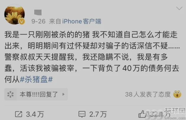 探究“爱情杀猪盘”：一场难以承受的天价网恋